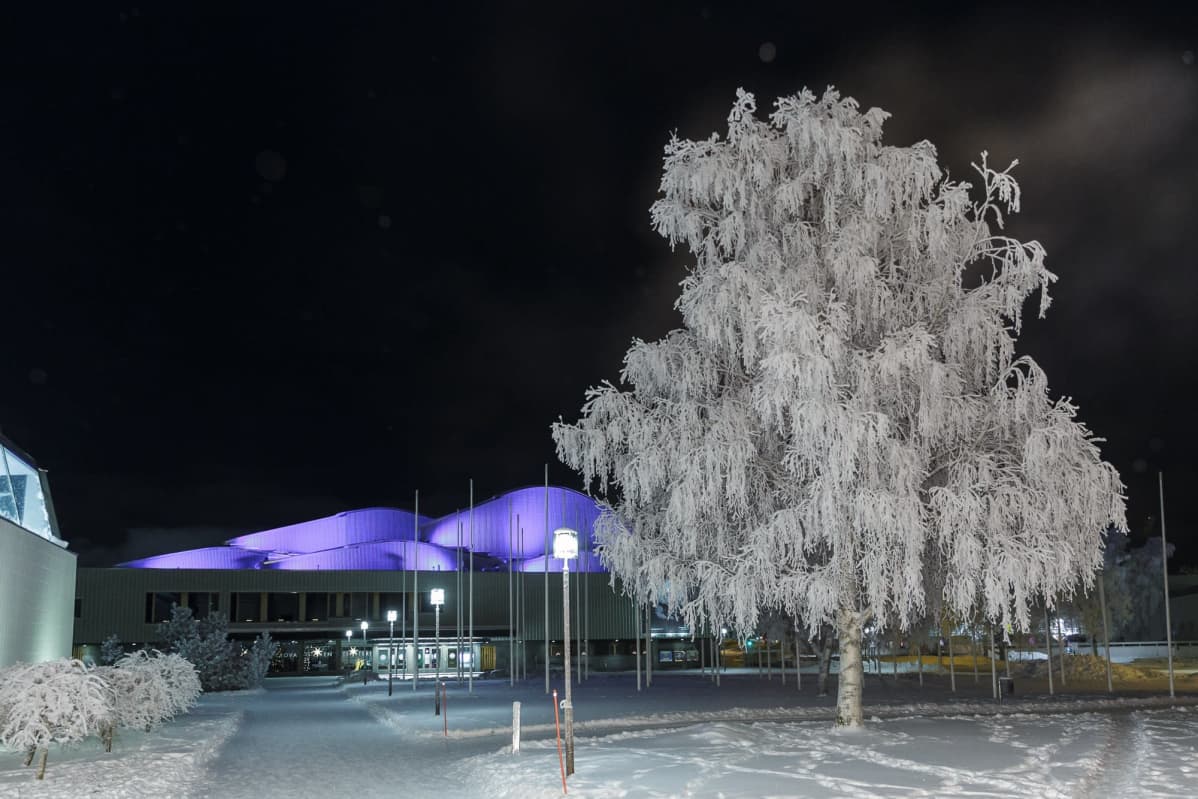 Lappia-talo Rovaniemellä näkyy huurteisten koivujen välistä.