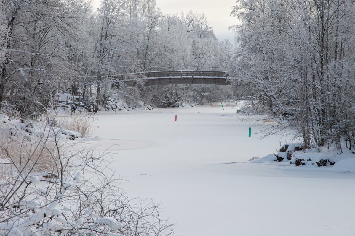Jäässä oleva Virojoki ja Virojoen kevyenliikenteen silta talvella.