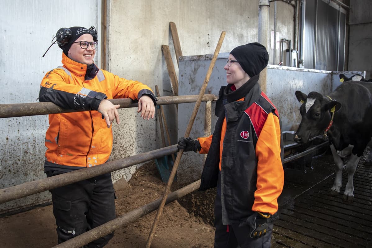Juha ja Suvi Luhtanen keskustelevat pihatossa askareiden lomassa