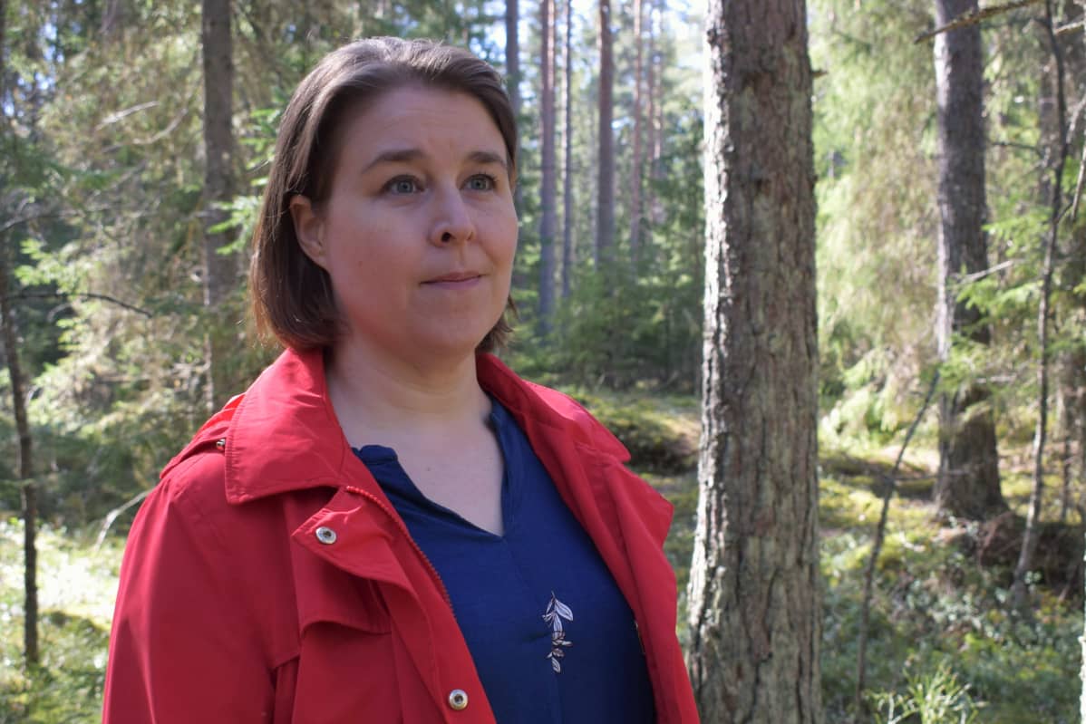 Psykologian professori Paula Salo seisoo havumetsässä.