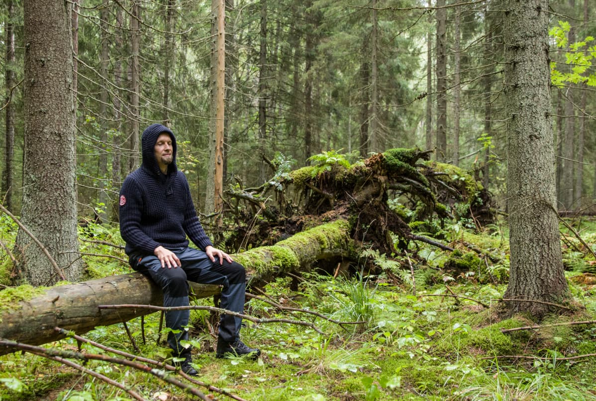 Jarko Taivasmaa voi unohtaa metsässä kaiken, mikä liittyy työhön tai ihmissuhteisiin.
