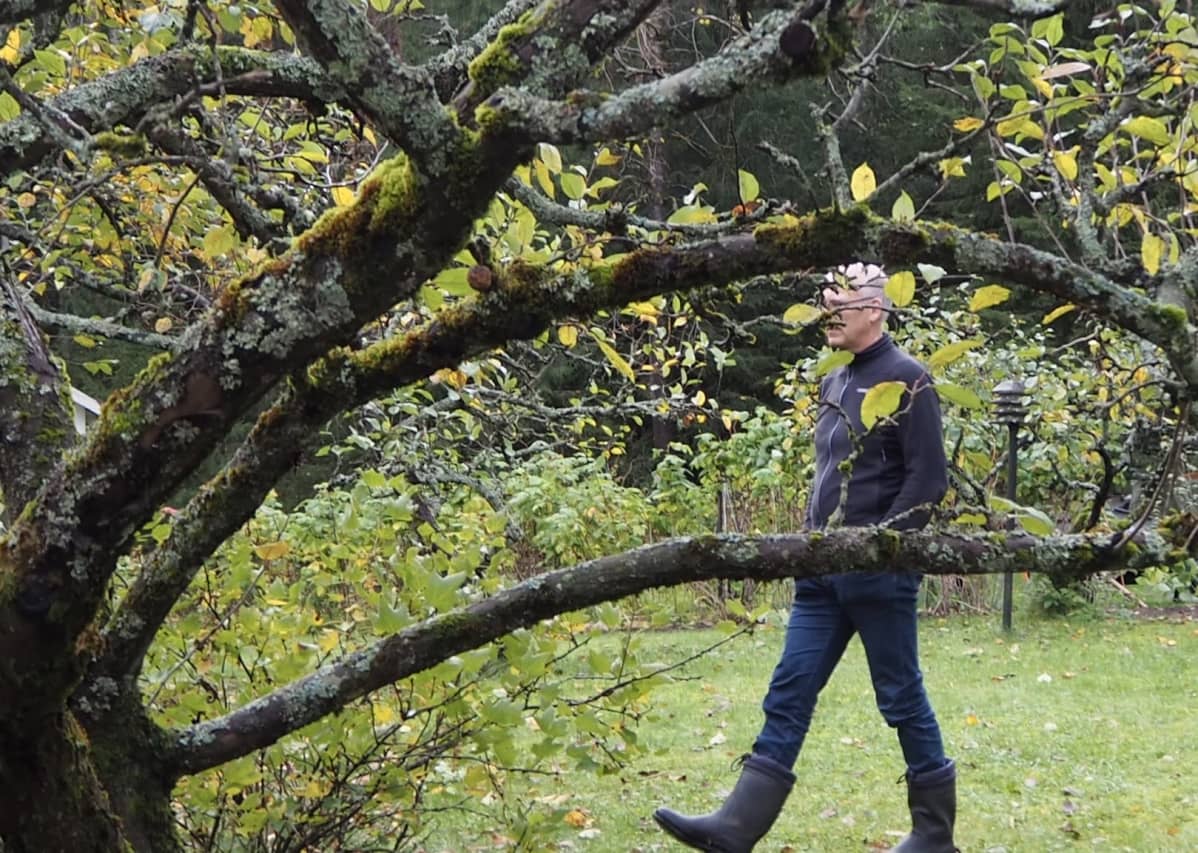 Markus Ukkonen kävelemässä omenapuun takana.
