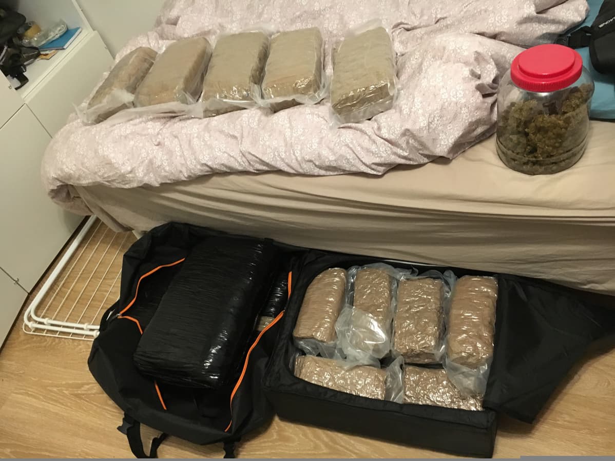 Iso kalu nuori teini