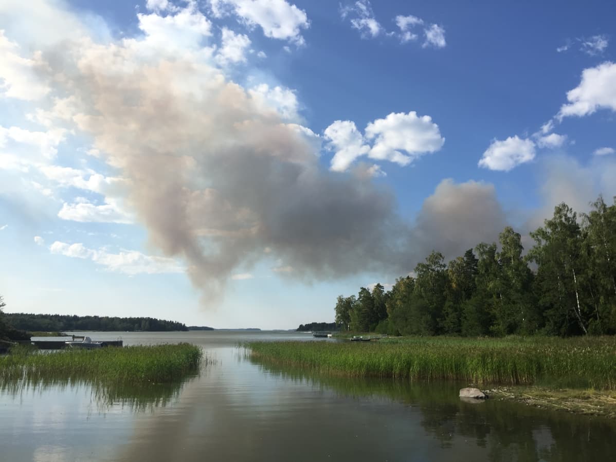 Pyhärannan metsäpalo