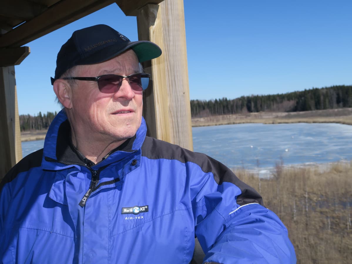 Lintuharrastaja Jouko Alhainen