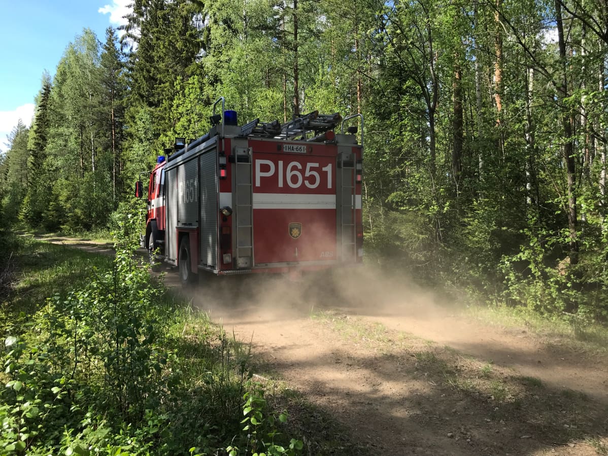 Paloauto metsätiellä