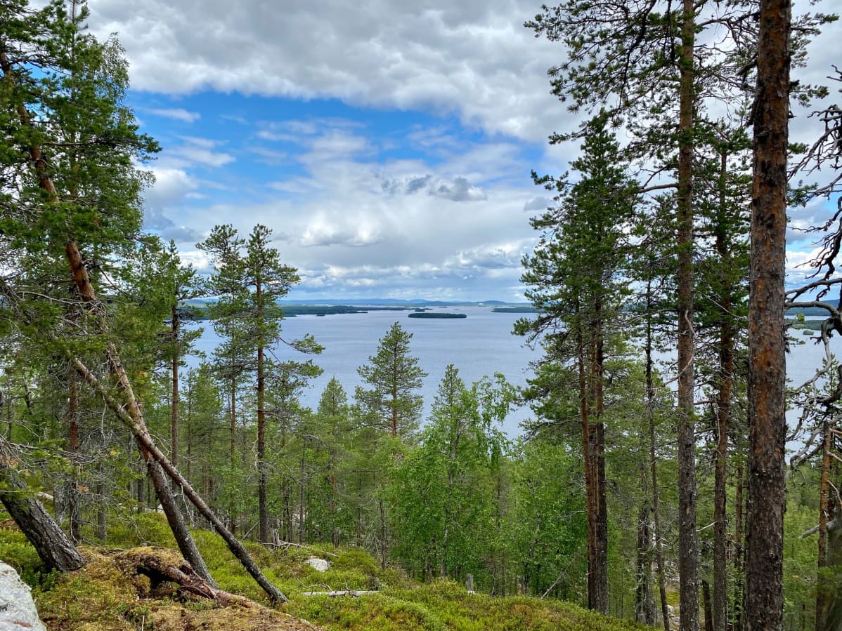 Ämmänvaaran laelta ihaillaan saarien, selkien ja niemien Kemijärveä.