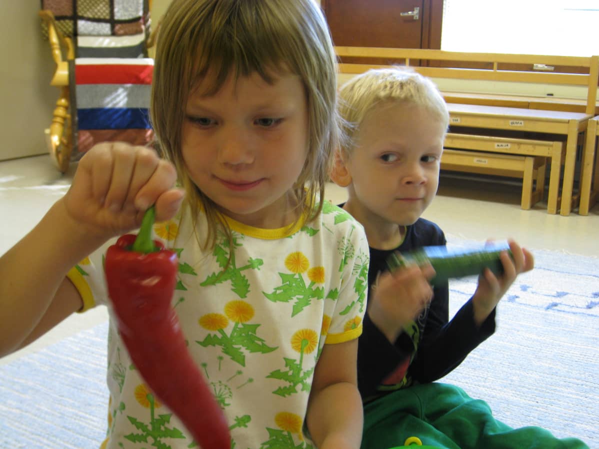Paprika kurkku kasvisaarteen arvoitus laukaa päiväkoti