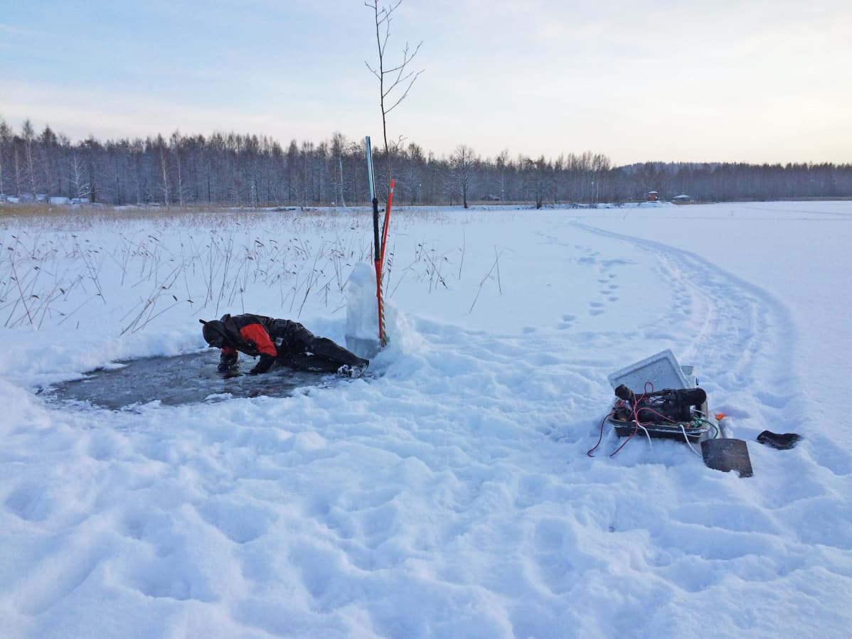 Asikkala Vesijärvi Teemu Lakka sukelllusvalokuvaus