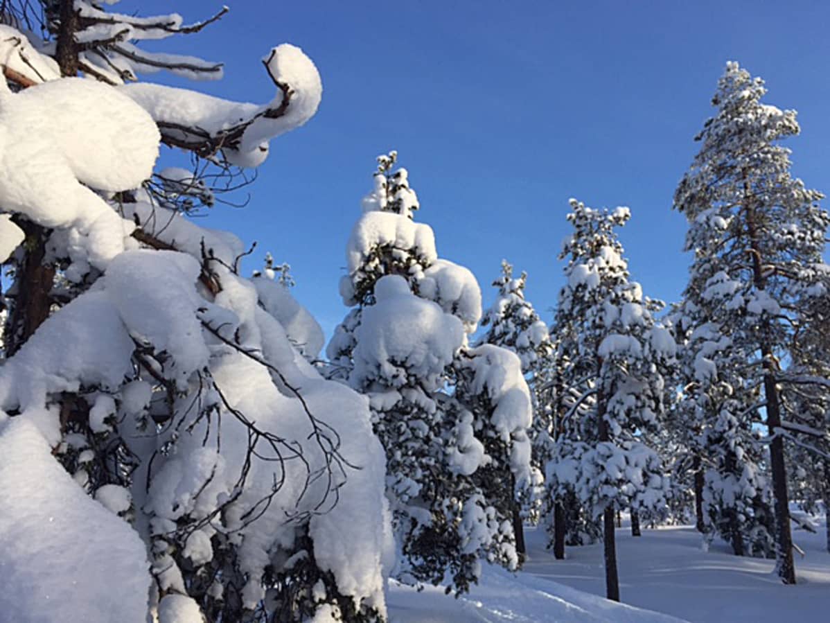 Lunta riittää