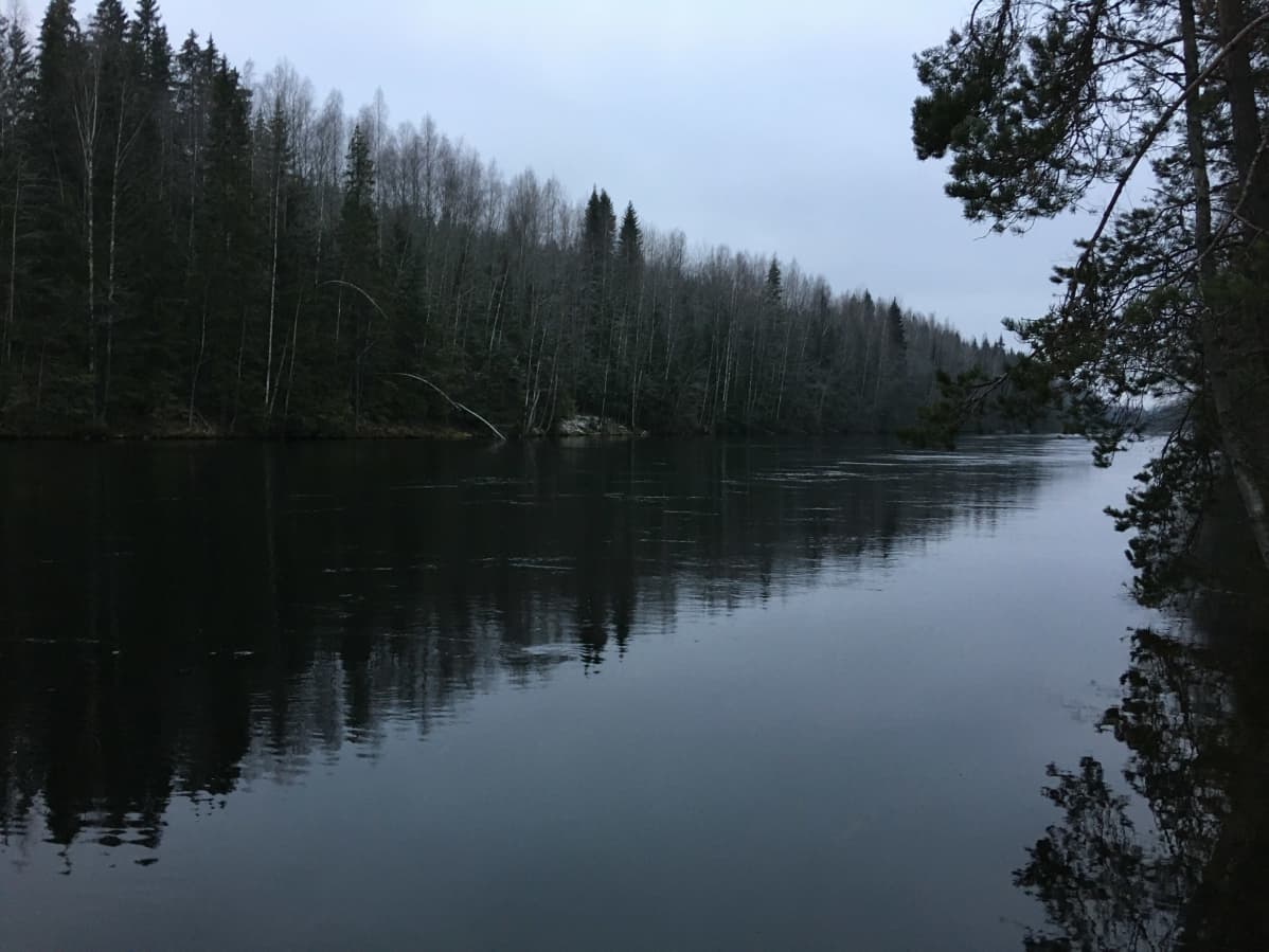 Maisema Kymijoella Iitin Mankalassa, jonne suunnitellaan 70-metristä riippusiltaa.