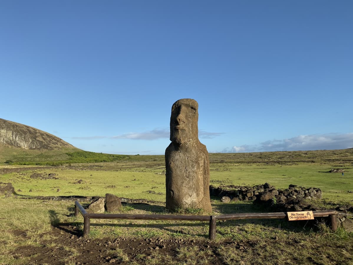 Moai-patsas.