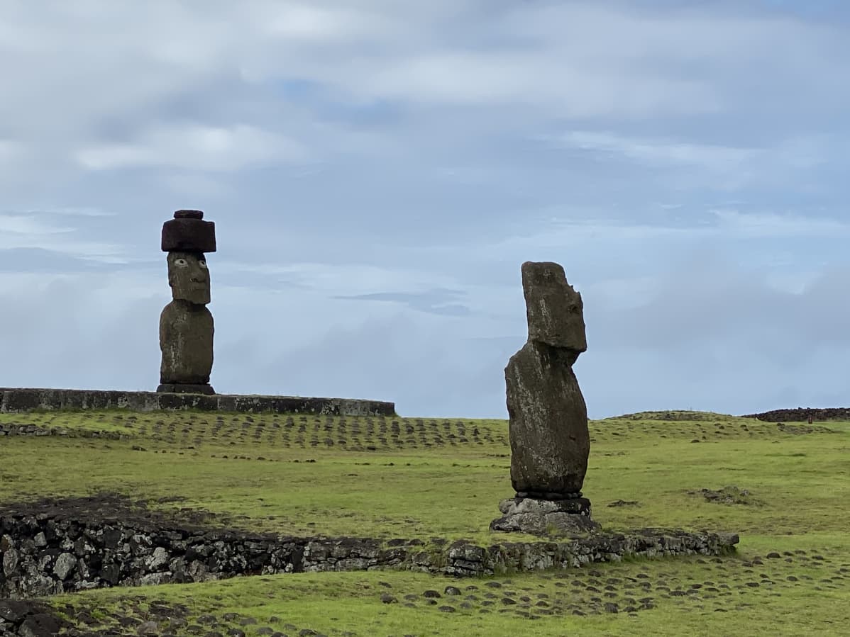 Moai-patsaita vihreällä niityllä.