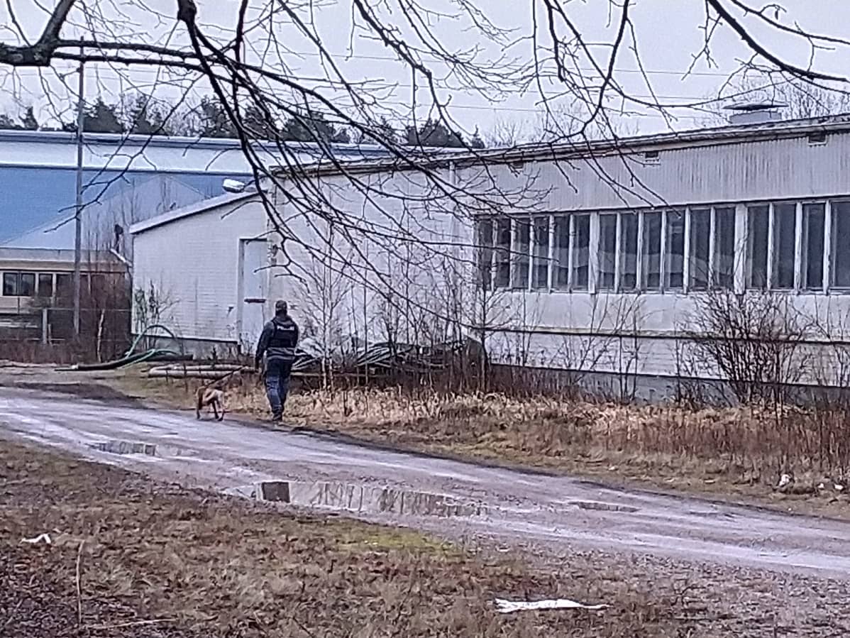 Poliisi käy kiinteistöä läpi koiran kanssa.