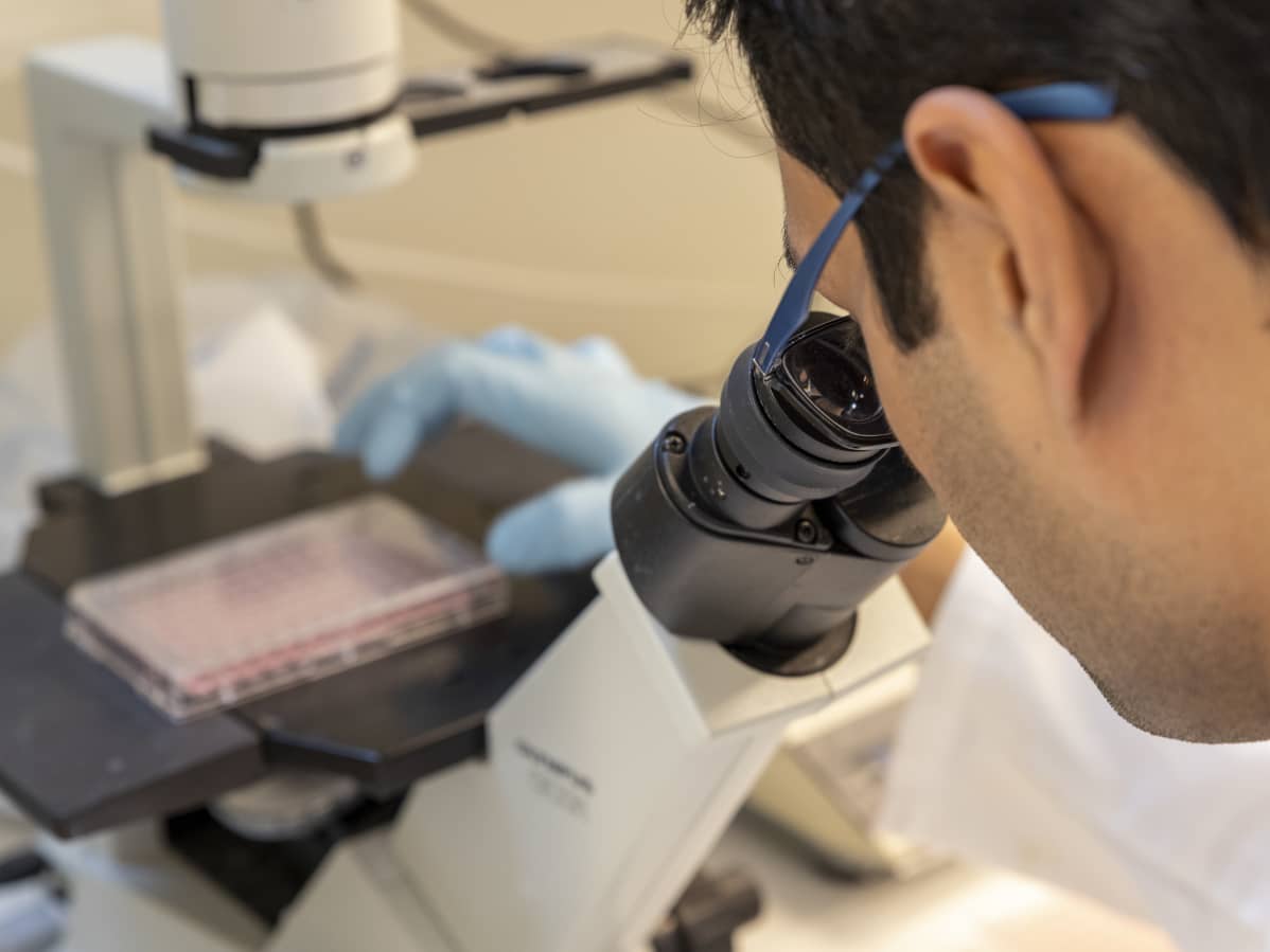Mies tutkii mikroskoopilla näytettä Jyväskylän yliopiston bio- ja ympäristötieteiden laitoksen laboratoriossa.