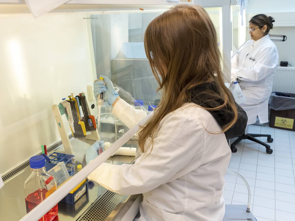 Pipetointia Jyväskylän yliopiston laboratoriossa.