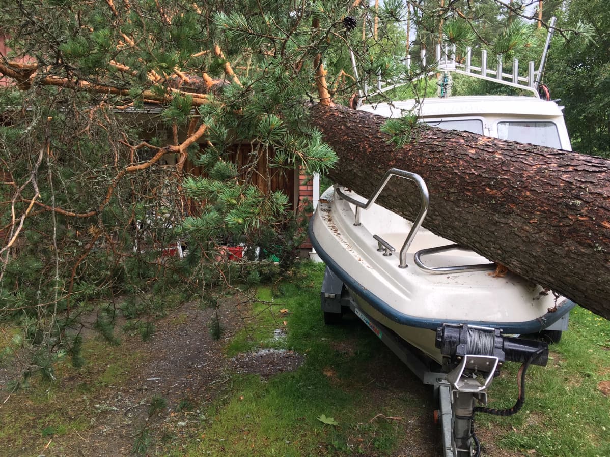 Kuvassa on Päivö-myrskyn tuhoa Joensuun Karsikossa.