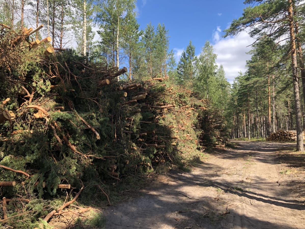 en hög av stockar.