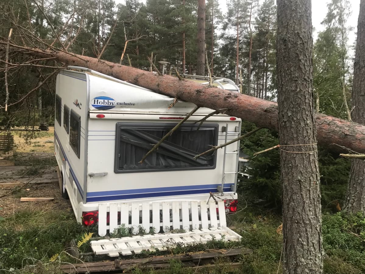 Nedblåst träd över husvagn i Fäboda  i Jakobstad.
