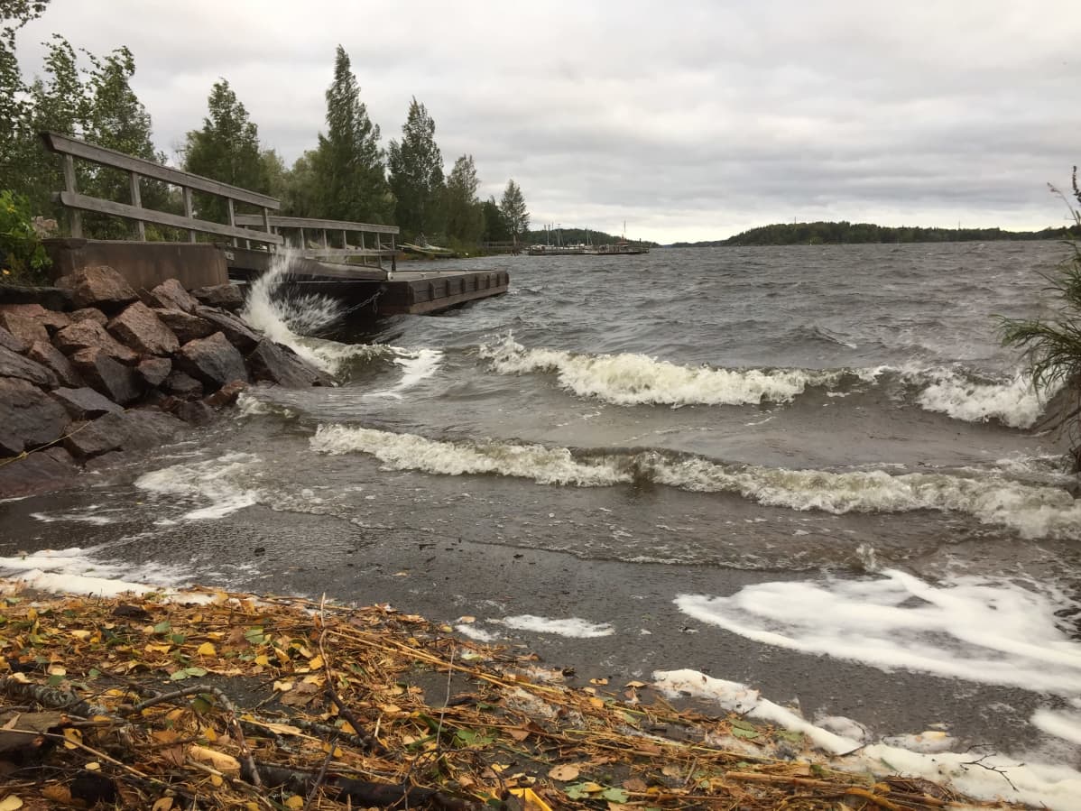 Lappeenrannan satamassa Halkosaaressa Aila-myrsky on tyyntymässä.