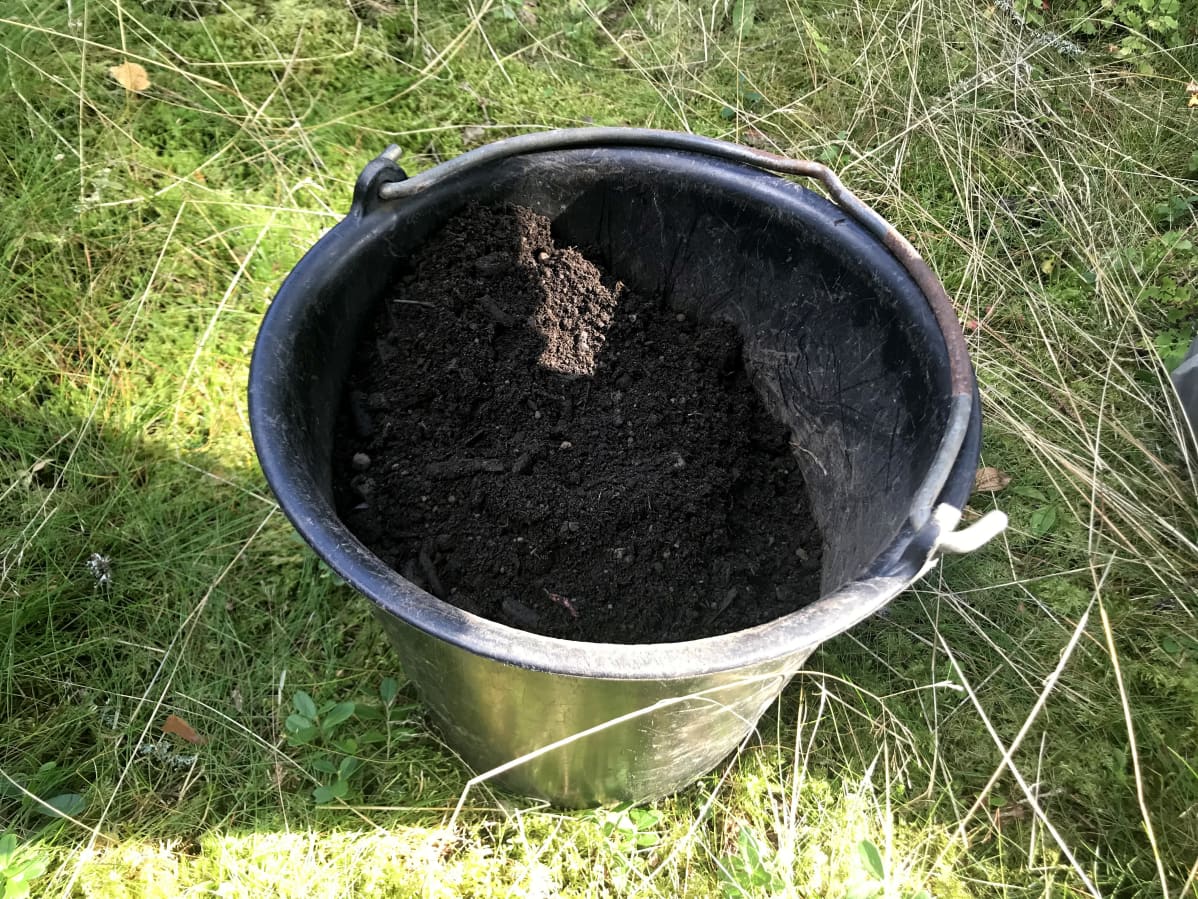 Ämpärillinen uutta metsälannoitetta Putrettia, näyttää ihan kompostimullalta.