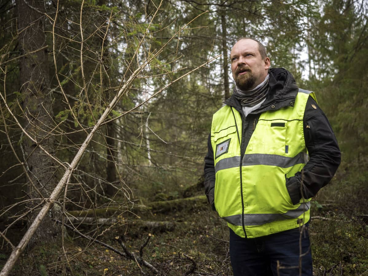 Antti Käpylä