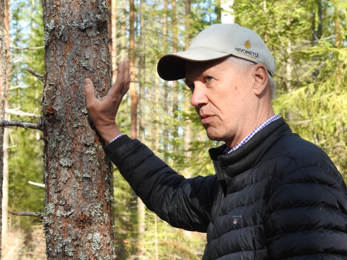 Timo Kujala nojaa kevyesti puuhun ja puhuu metsästä.