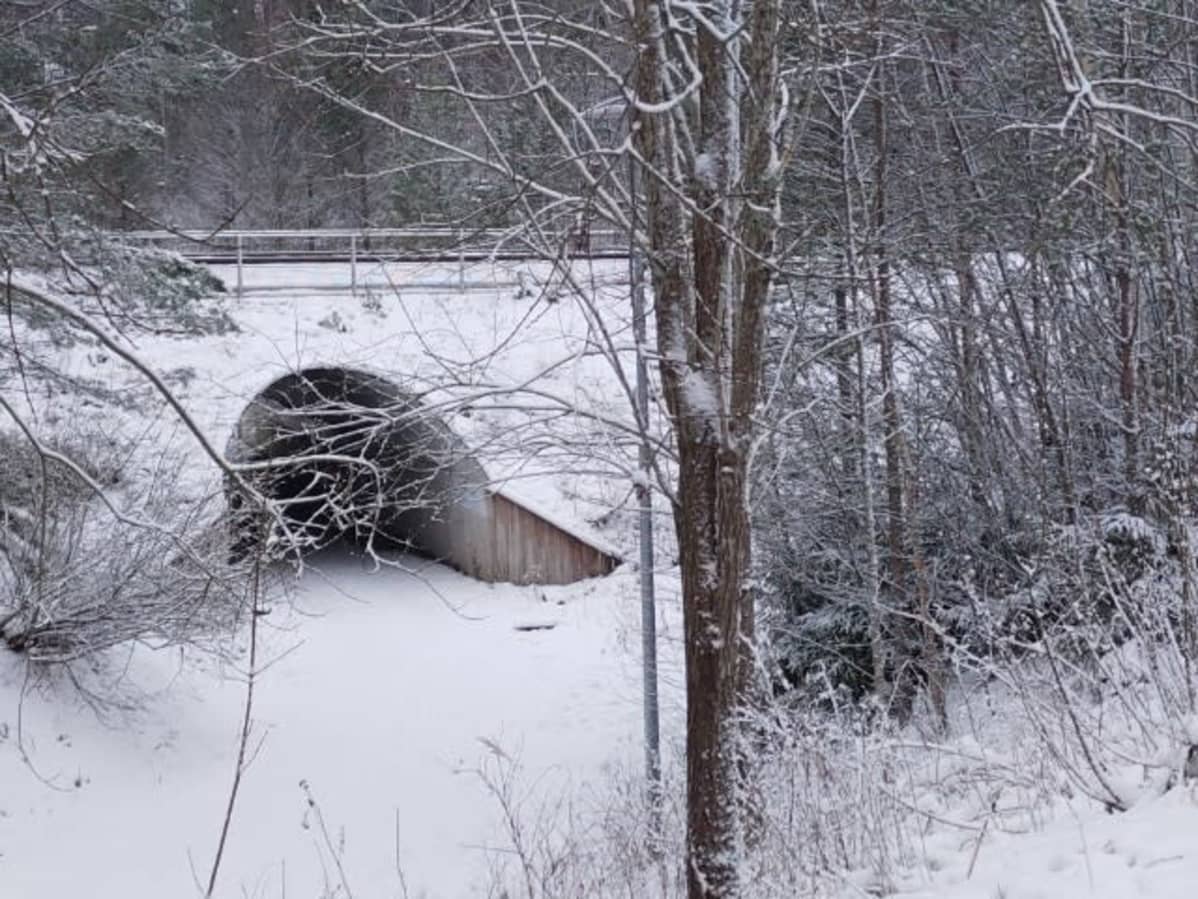 Suinulan suljettu alikulku