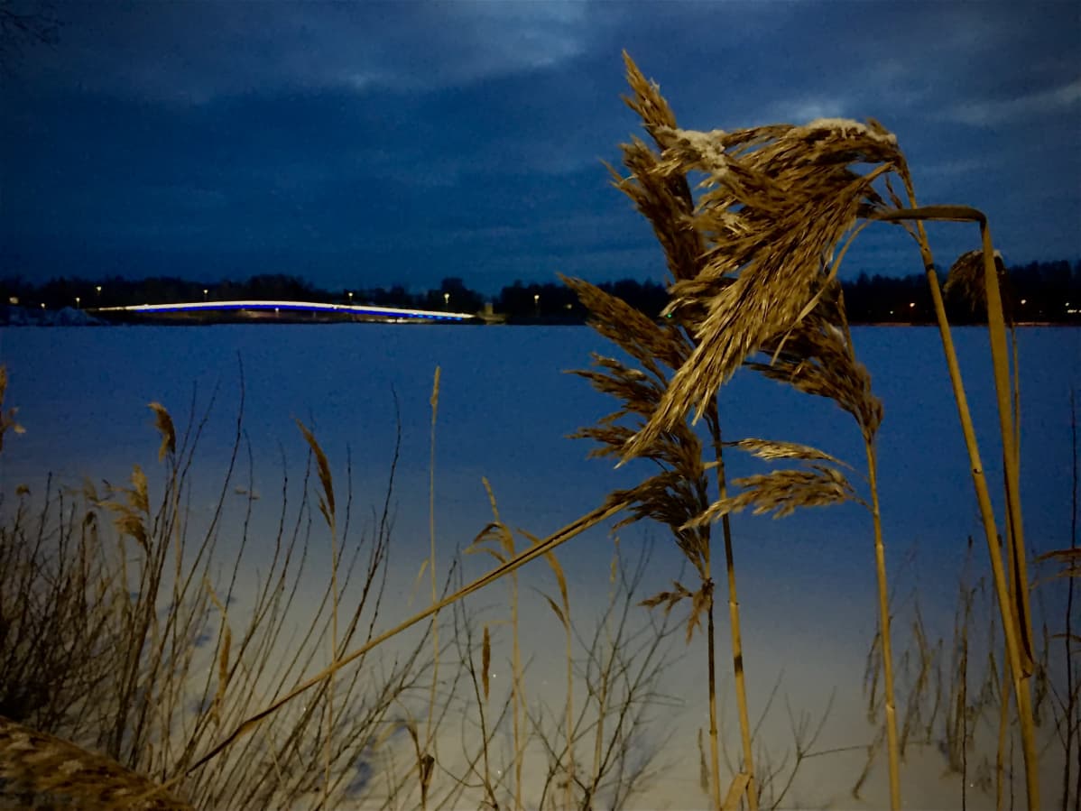 Onkilahden valaistu silta Palosaarelta katsottuna.