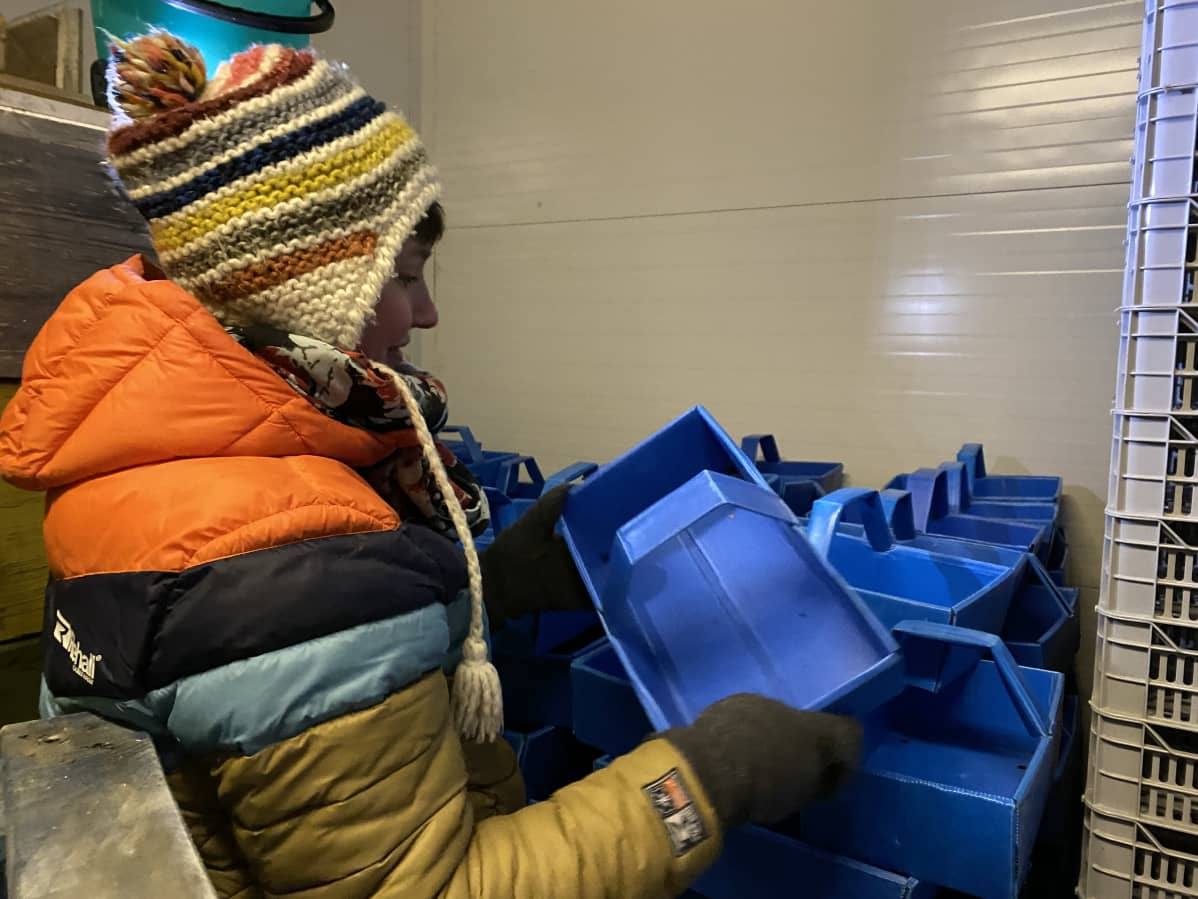 Sinisiä marjakoppeja varastossa. Noora Räsänen pitää yhtä koppaa kädessään.
