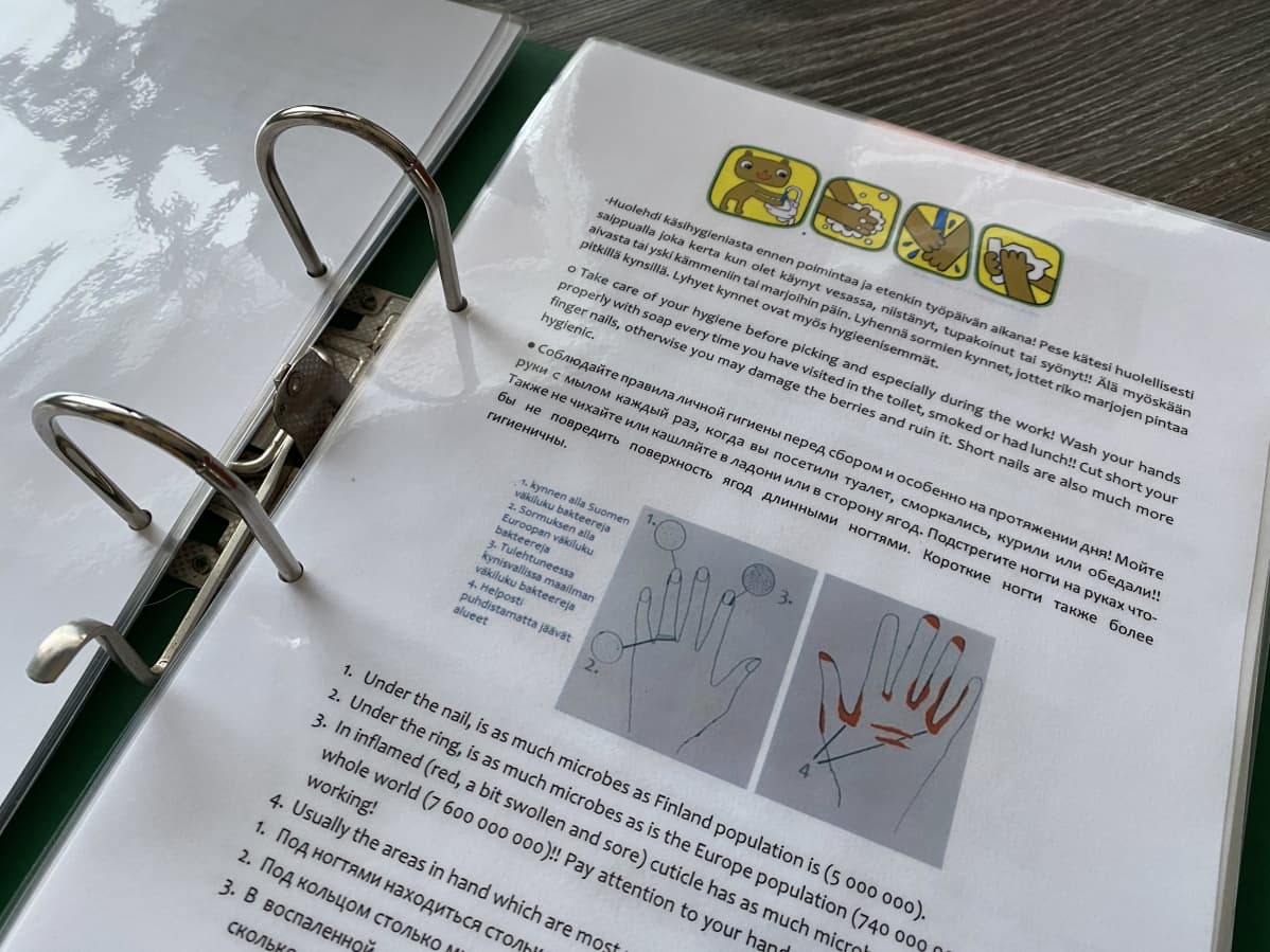 Infokansion sivulla neuvoja oikeaan käsienpesuun.