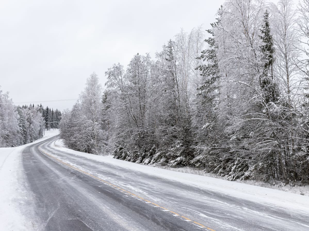 Raivaamaton tienvarsi valtatie kolmellatoista Kangasniemellä.