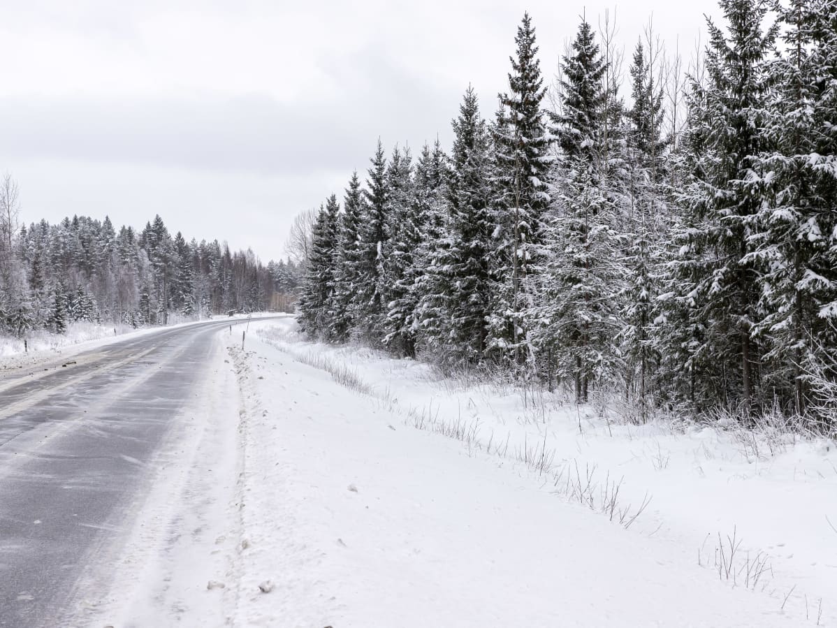 Raivattu tienvarsi valtatie kolmellatoista Toivakassa.