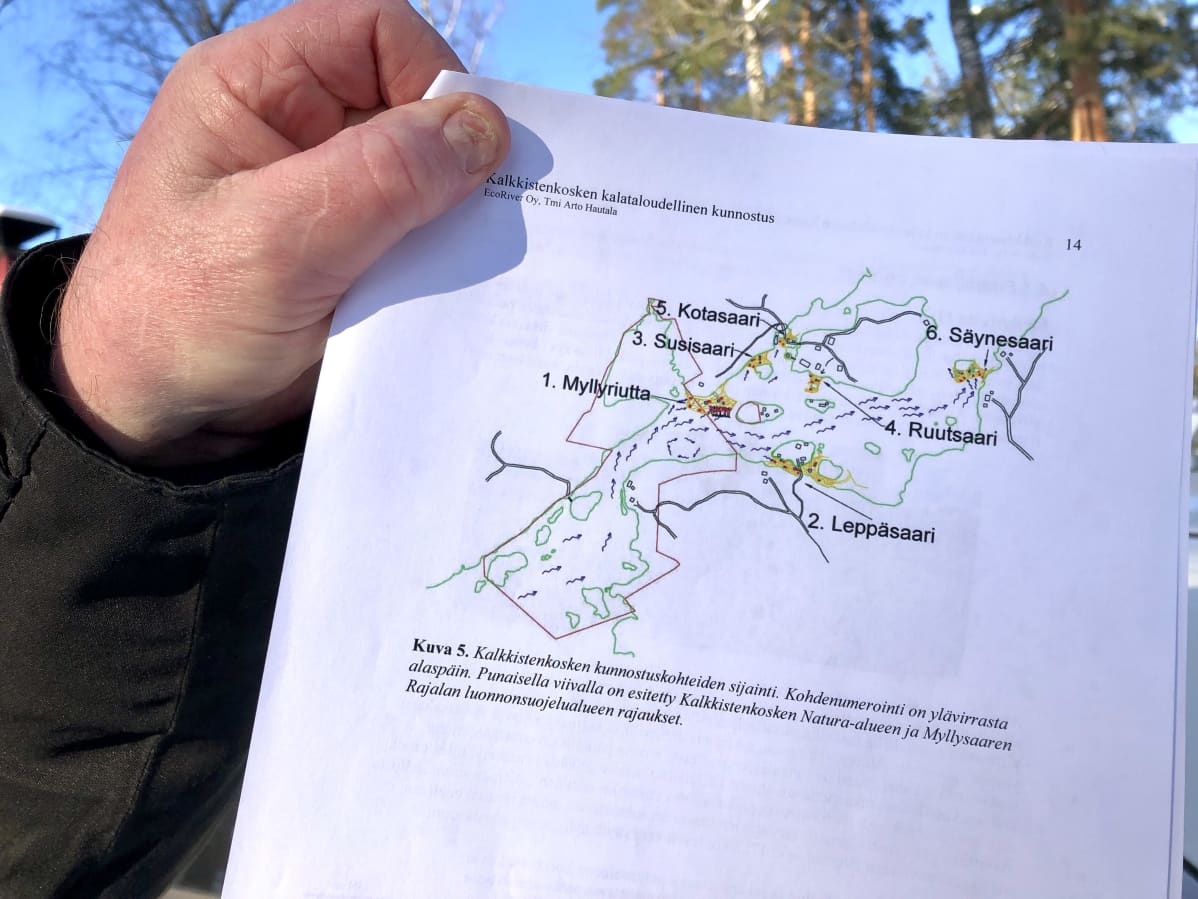 Kalkkistenkosken taimenenpoikasten elinolosuhteiden kunnostusalueet kartalla.