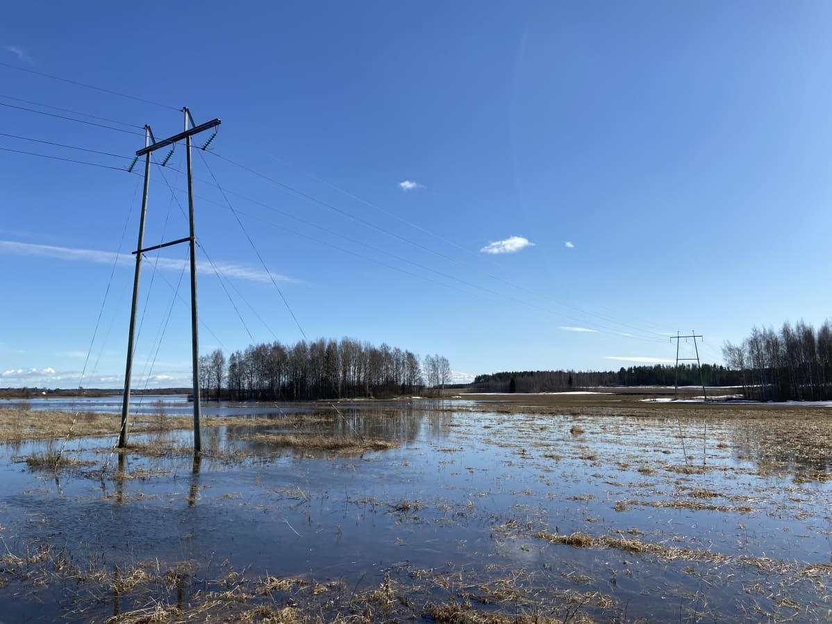 Lapuanjoen vesi on pellolla Ylihärmän Liinamaan kylällä.