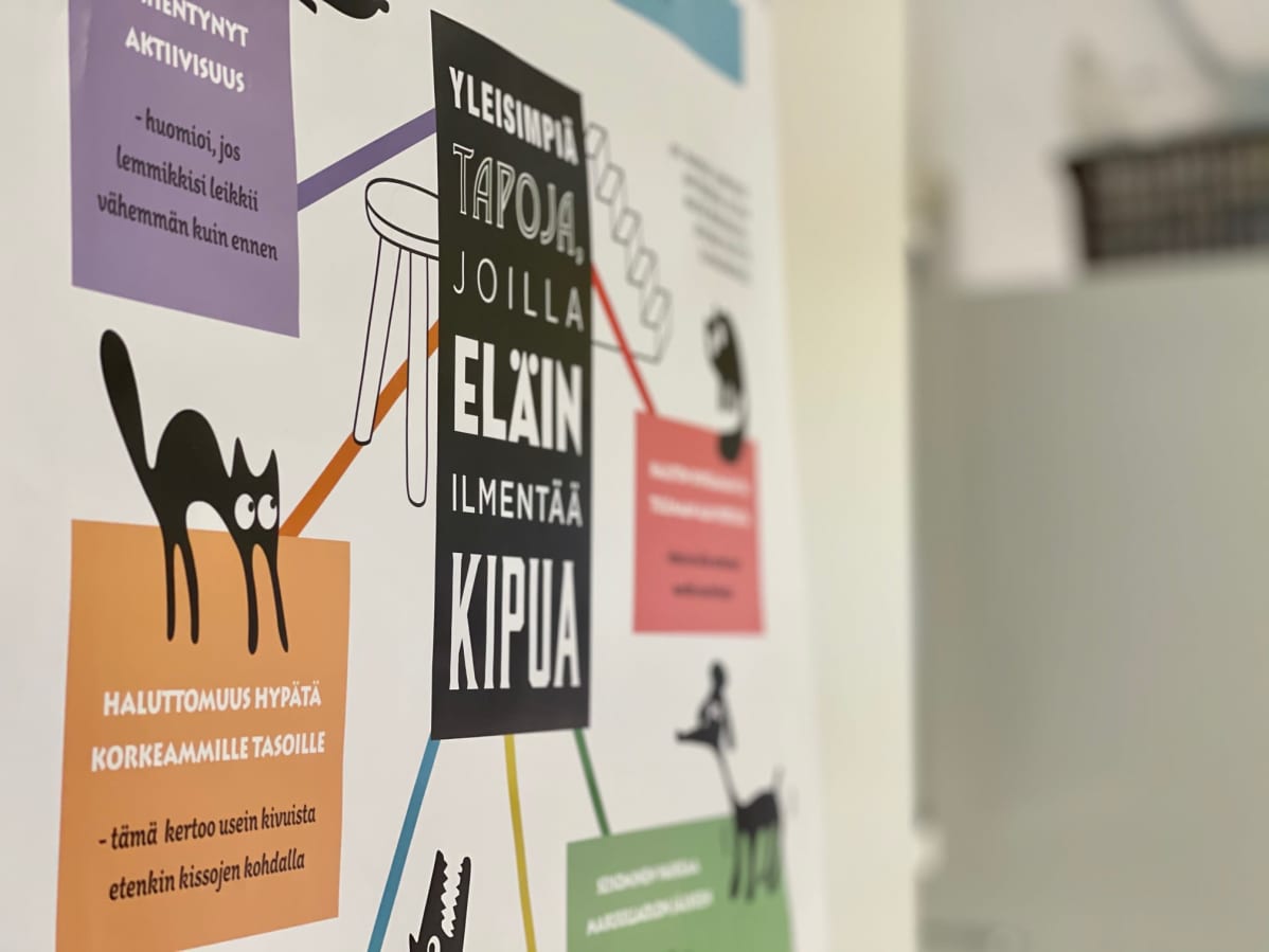 Seinällä on juliste, jossa kerrotaan miten eläin näyttää, jos sillä on kipuja.