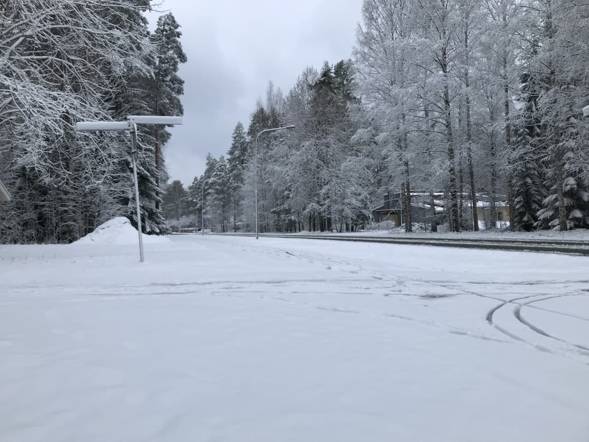 Kevyen liikenteen väylä on lumen peitossa Joensuun Linnunlahdella.