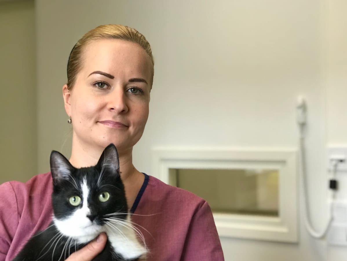 Eläinlääkäri vastaanotollaan mustavalkea kissa sylissään