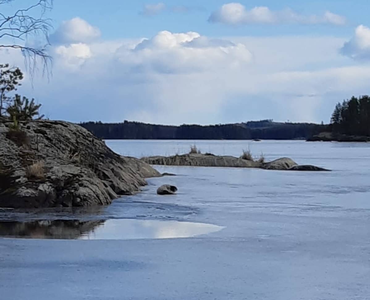 Vastasyntynyt kuutti jäällä