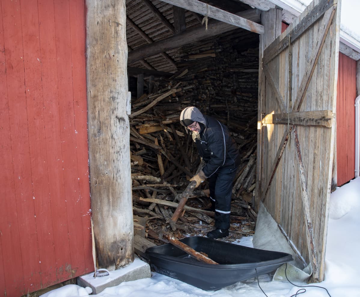 Timo Ruuska tekemässä polttopuita.