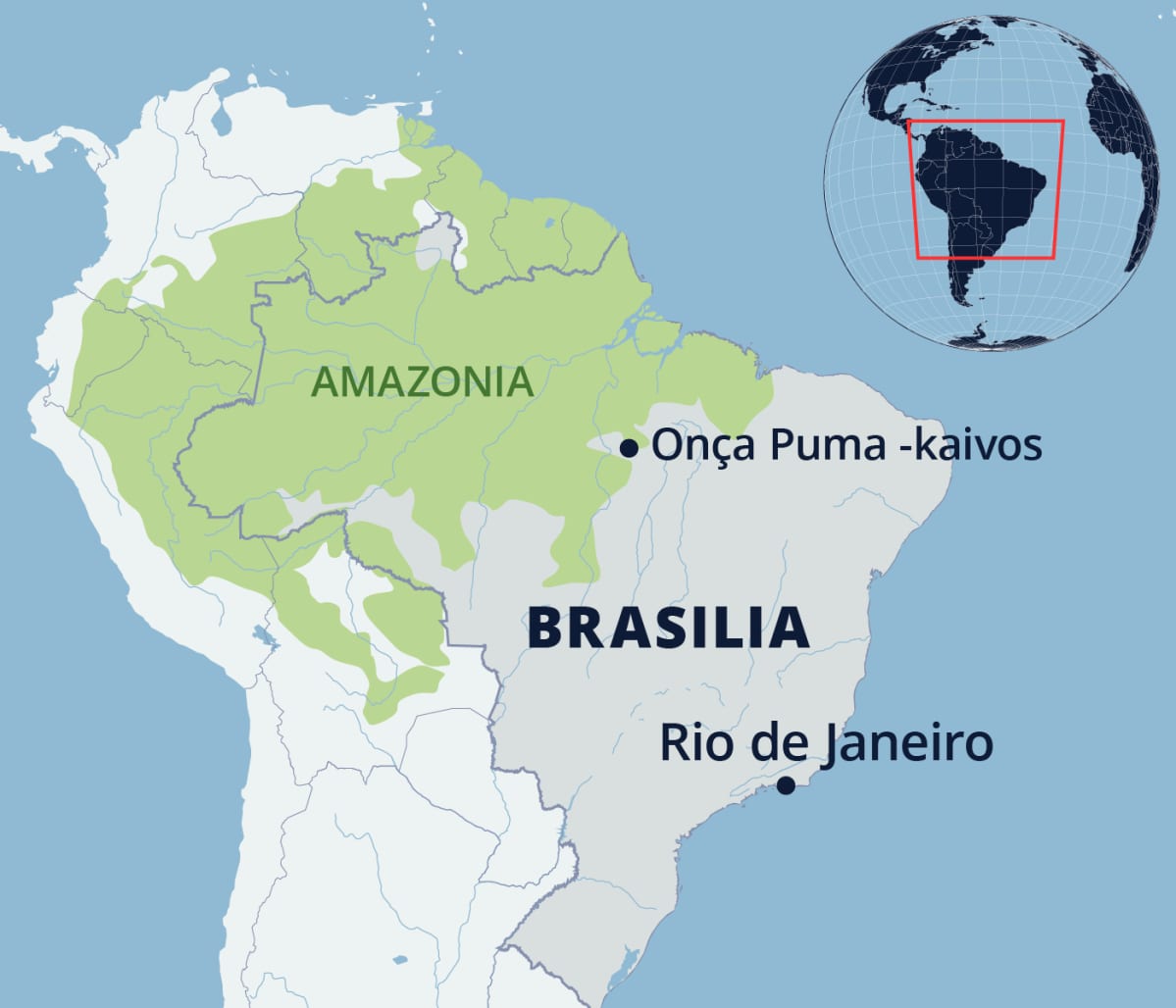 No mapa está a mina Onça Puma no Brasil e na região amazônica.
