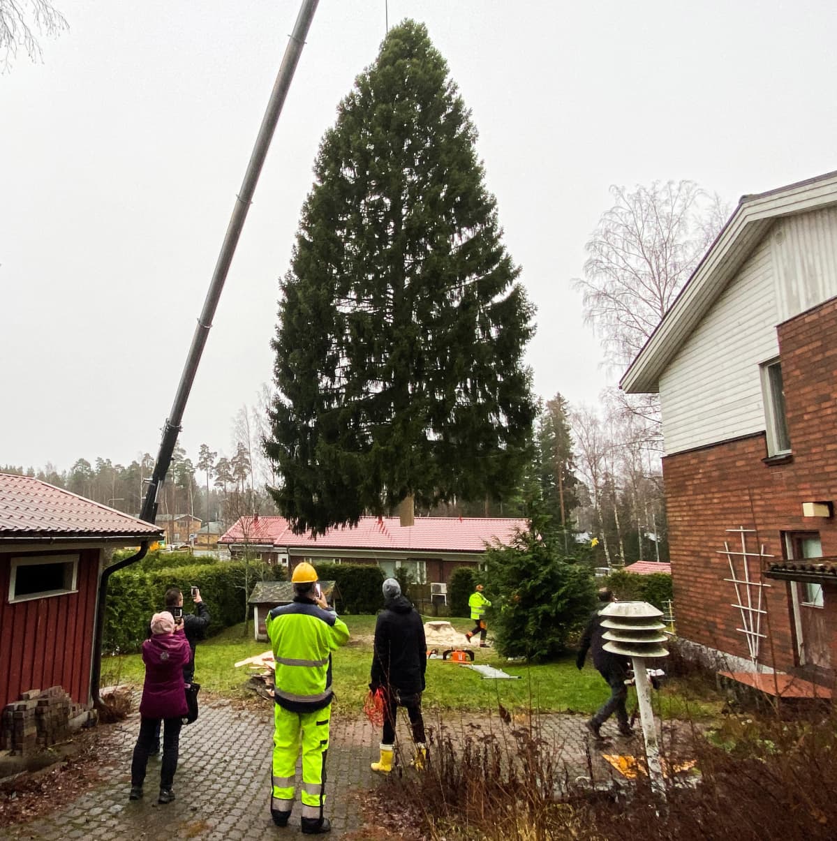 Turun tuomiokirkon joulukuusen haku Maskussa 25.11.2020.