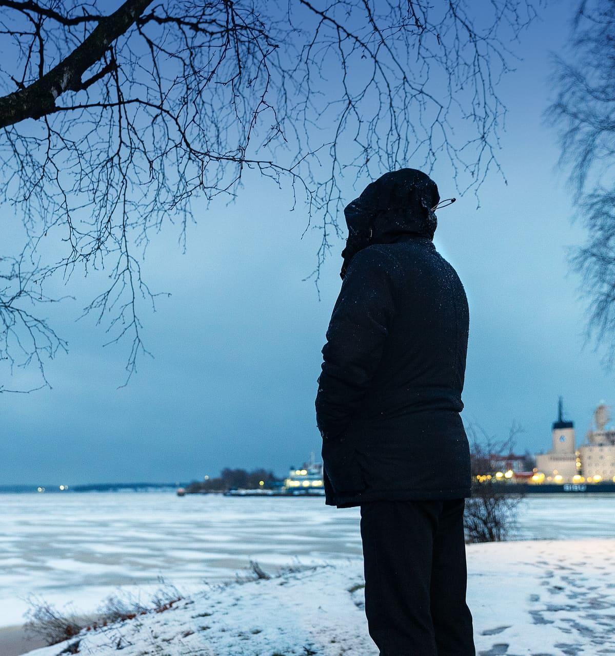 MOT:n anonyymi lähde. Kuva merenrannassa, kohde selin kameraan.