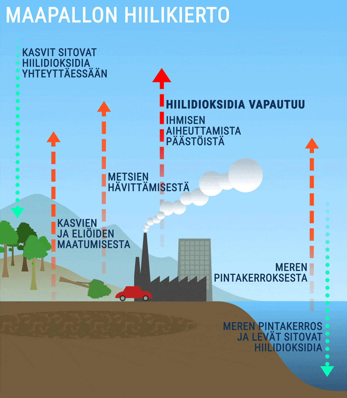 Hiilikiertoanimaatio