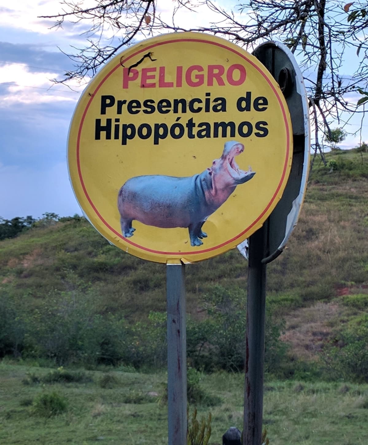 Kolumbia virtahepo Escobar