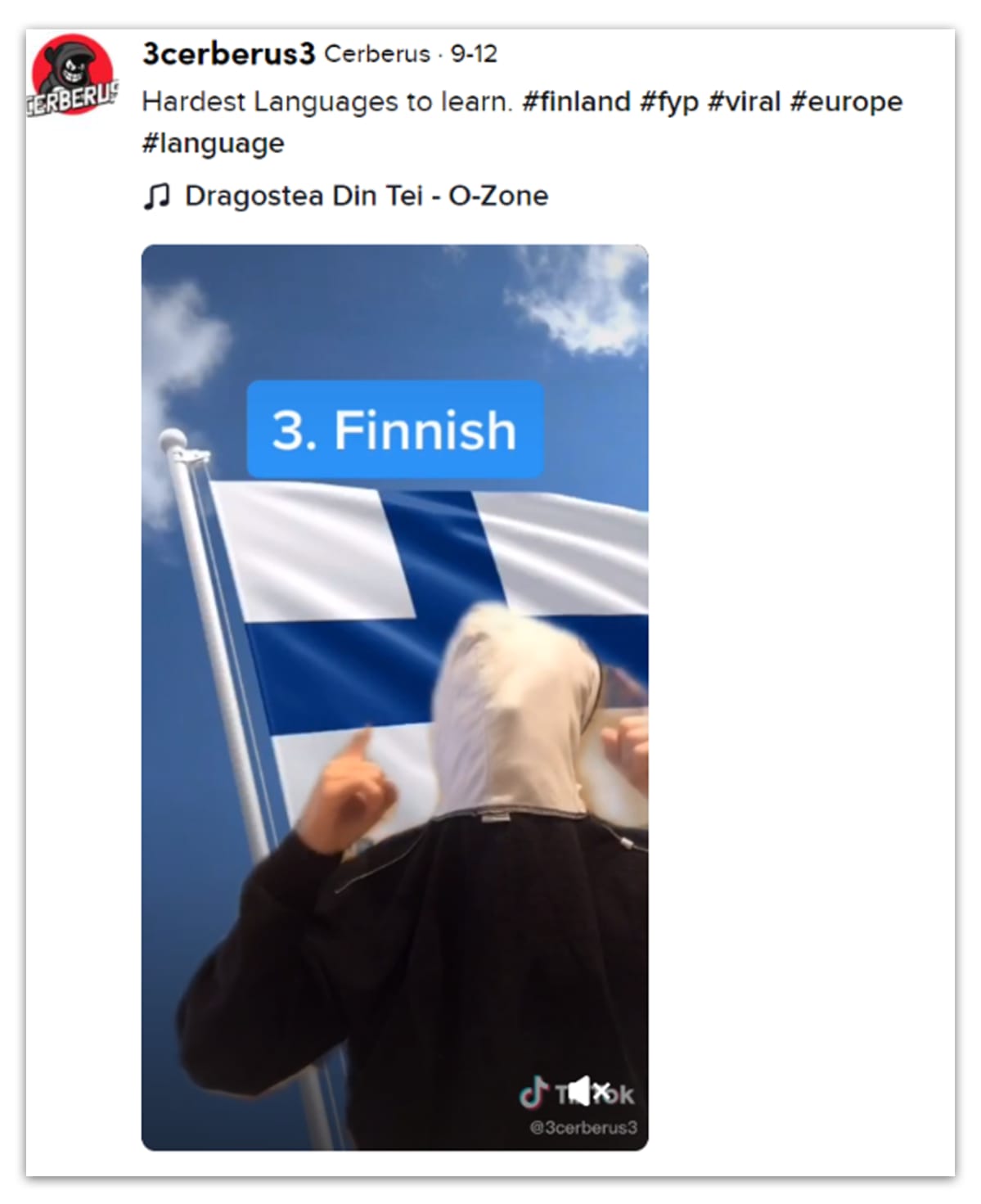 TikTok-viesti.