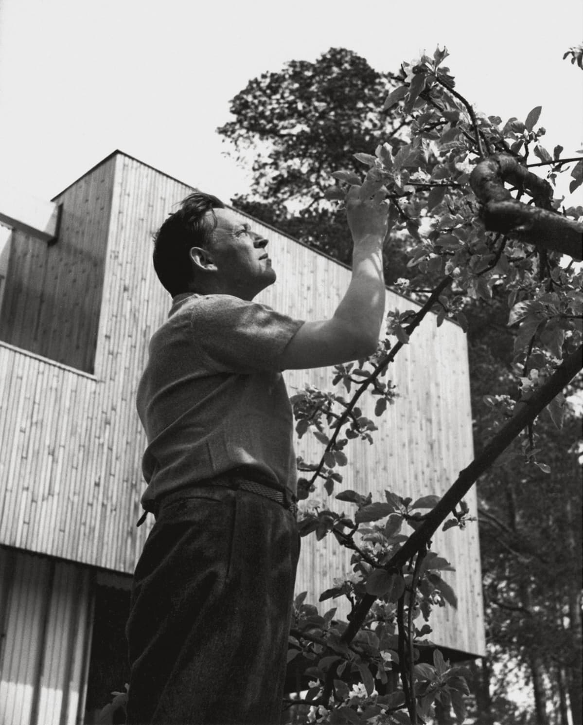 Alvar Aalto kotipihallaan