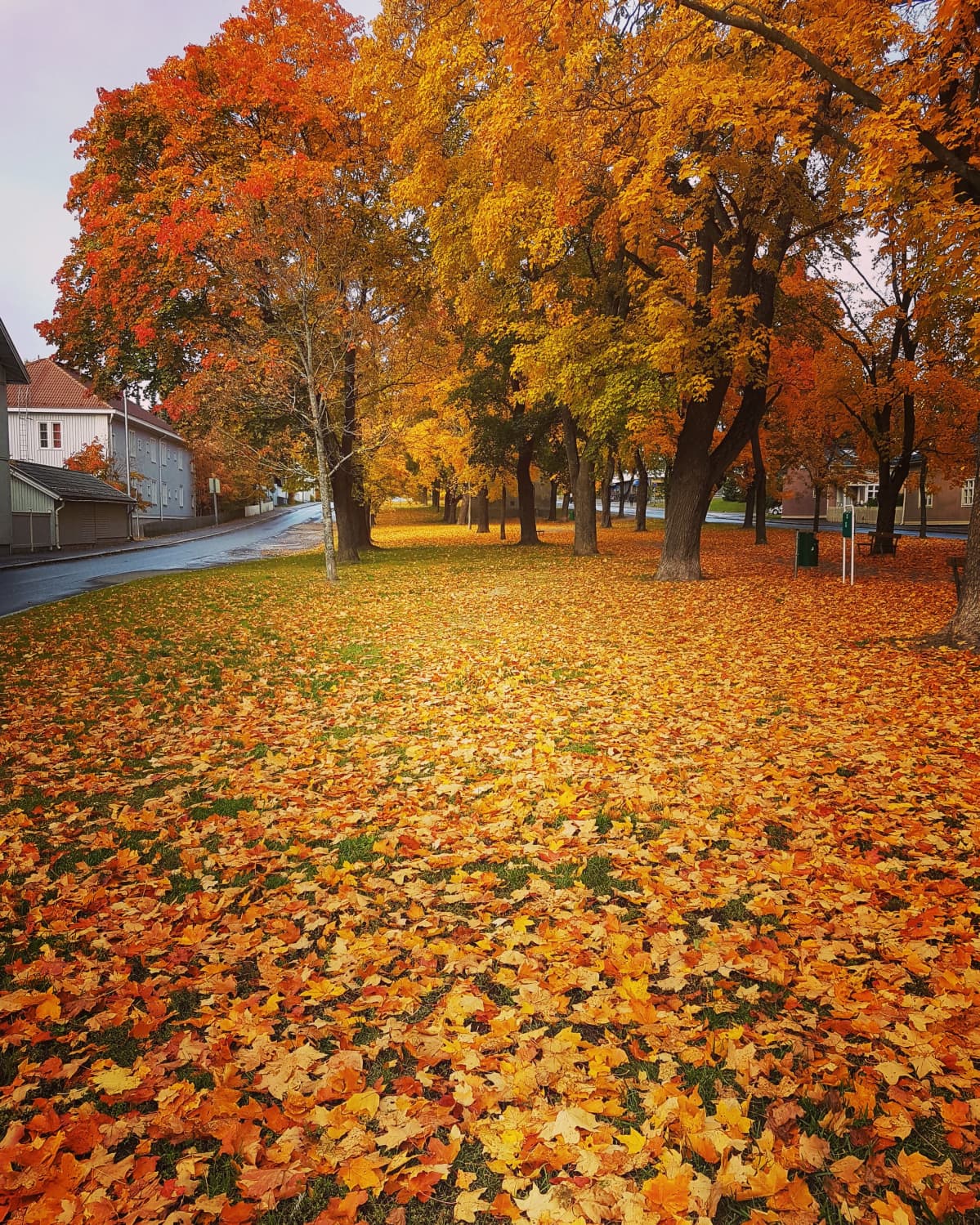 Tampereen Puistotie Kalevan kaupunginosassa.
