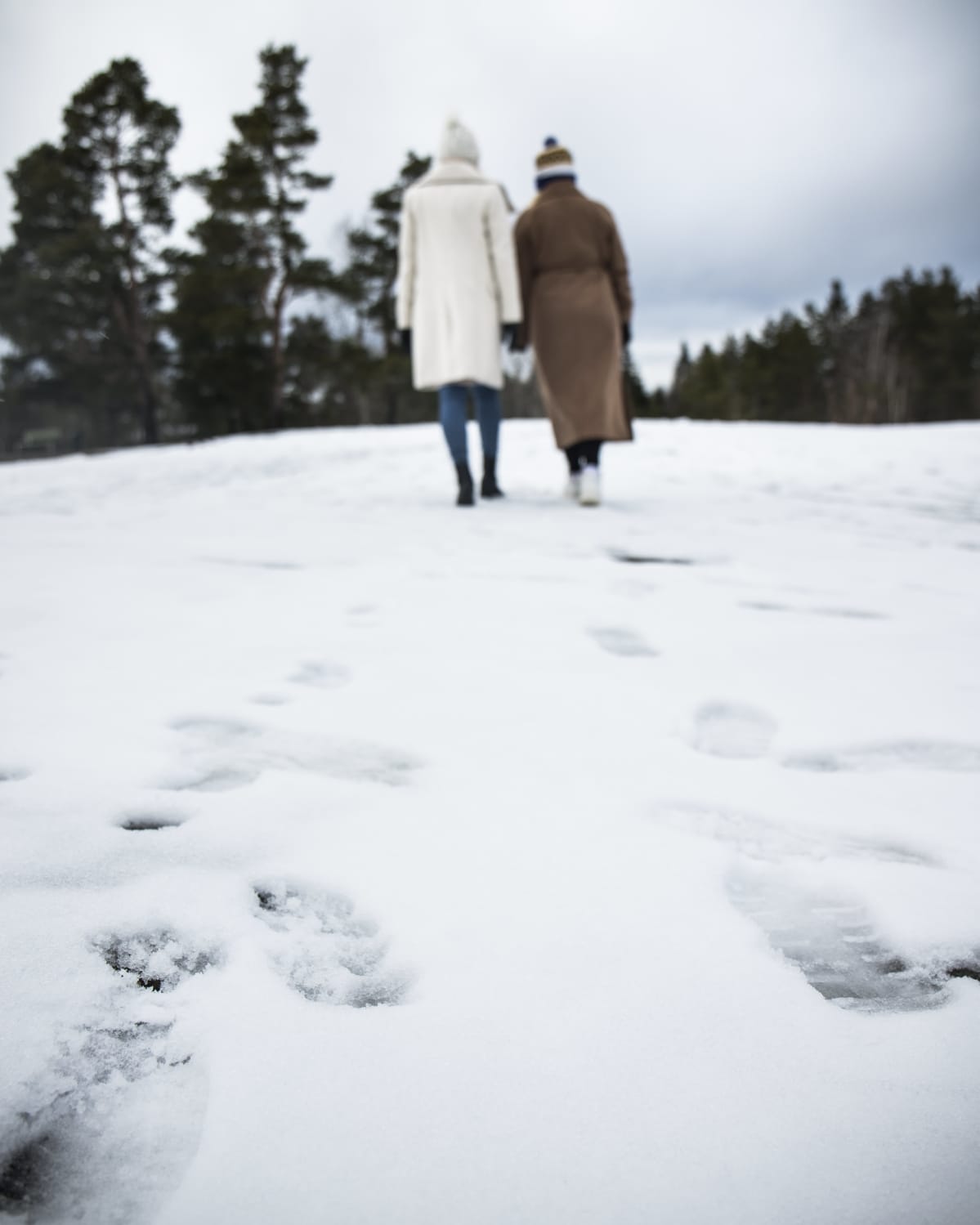 Emilia Saloranta ja Mari Saari.