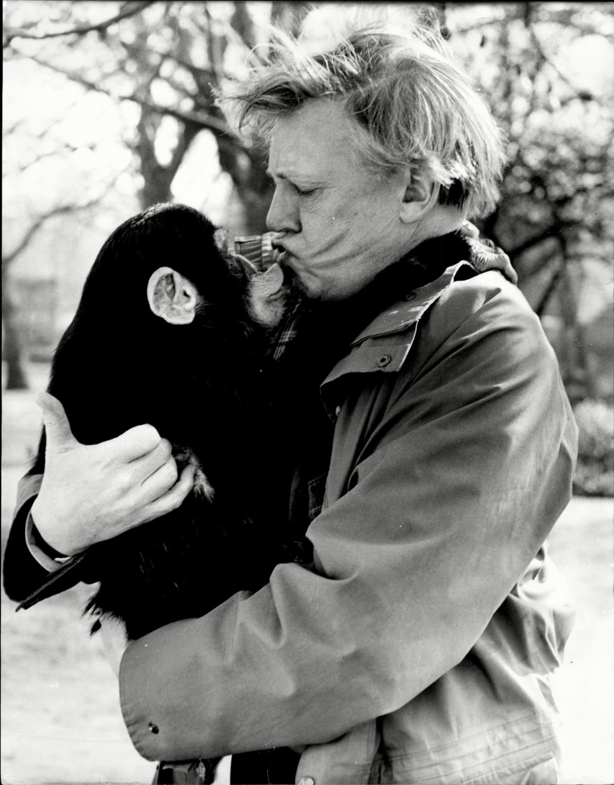 David Attenborough pitää sylissään simpanssia Lontoon eläintarhassa vuonna 1987.